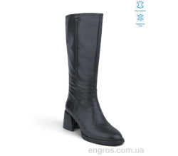 Сапоги Allshoes