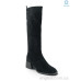 Сапоги Allshoes