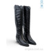 Сапоги Allshoes