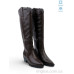 Сапоги Allshoes