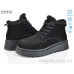Ботинки ITTS